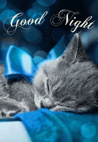 The perfect Good Night Cat Dog Animated GIF for your conversation. . Good night kitten gif